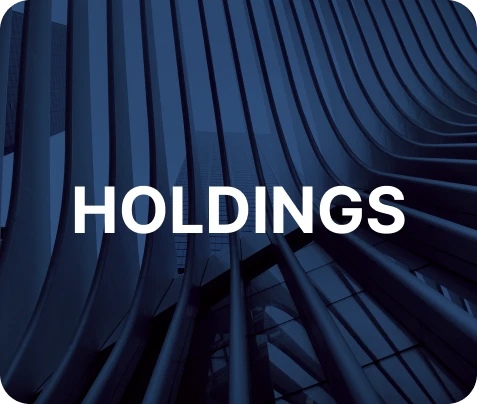 HOLDINGS