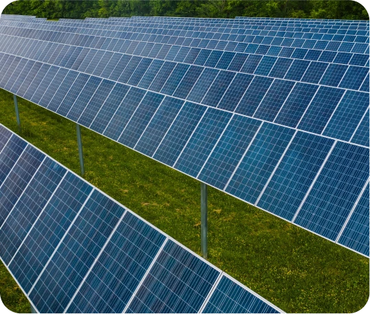 7 → Figure → Rectangle 13