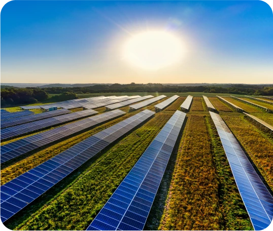 7 → Figure → Rectangle 18